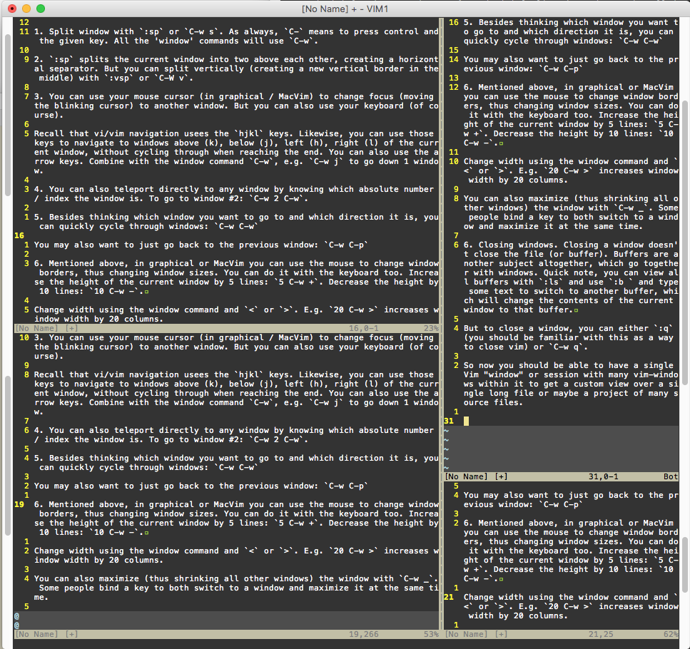 vim vs macvim